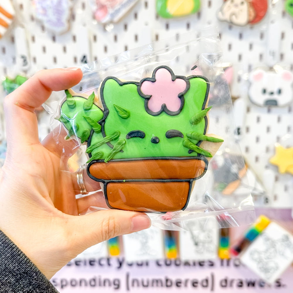 Cactus Cat | Single Decorated Cookie