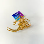 Halloween Claw Clip  | Angelita & Co