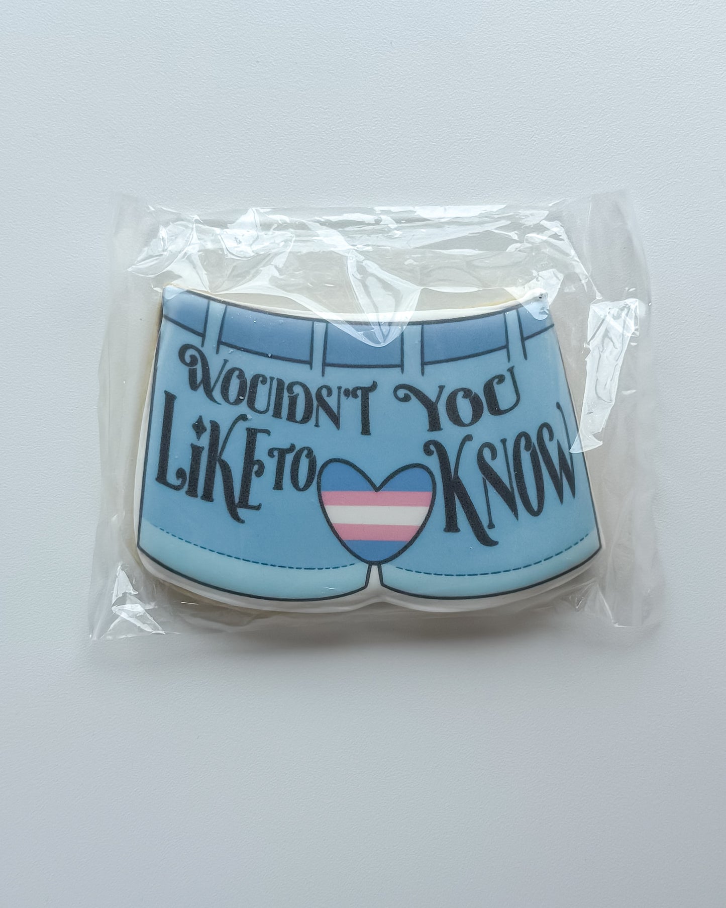 Mystery Pants (Front) | Pride Collection